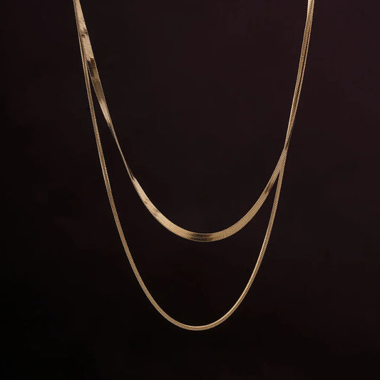 Basic Chain Two Layer Necklace